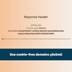 Use cookie-free domains çözümü