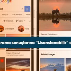 Google Fotoğraflar lisanslanabilir etiketi