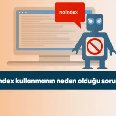 Noindex kullanmanın neden olduğu sorunlar