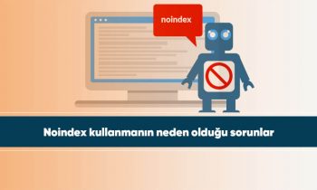 Noindex kullanmanın neden olduğu sorunlar