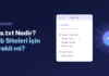 llms.txt Nedir? Web Siteleri İçin Gerekli mi?