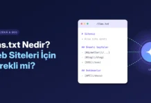 llms.txt Nedir? Web Siteleri İçin Gerekli mi?