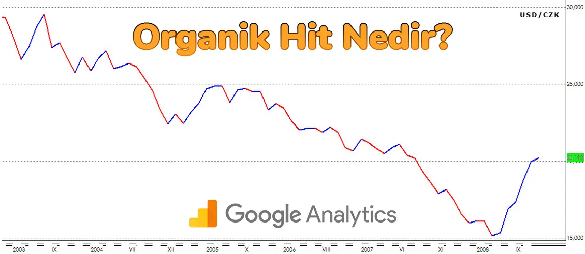 Organik Hit Nedir?