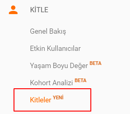 Google Analytics'ten Yeni Rapor: Kitleler