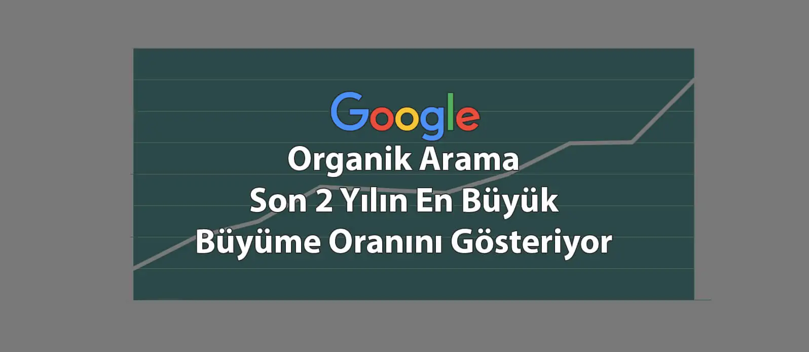 Google Organik Arama