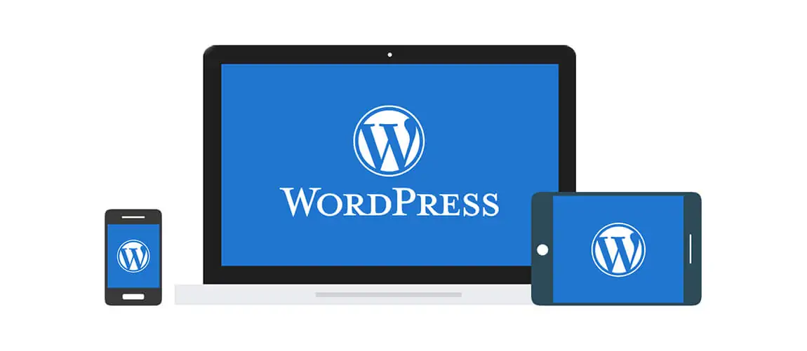 En İyi 10 Milyon Sitenin %30'u WordPress Kullanıyor