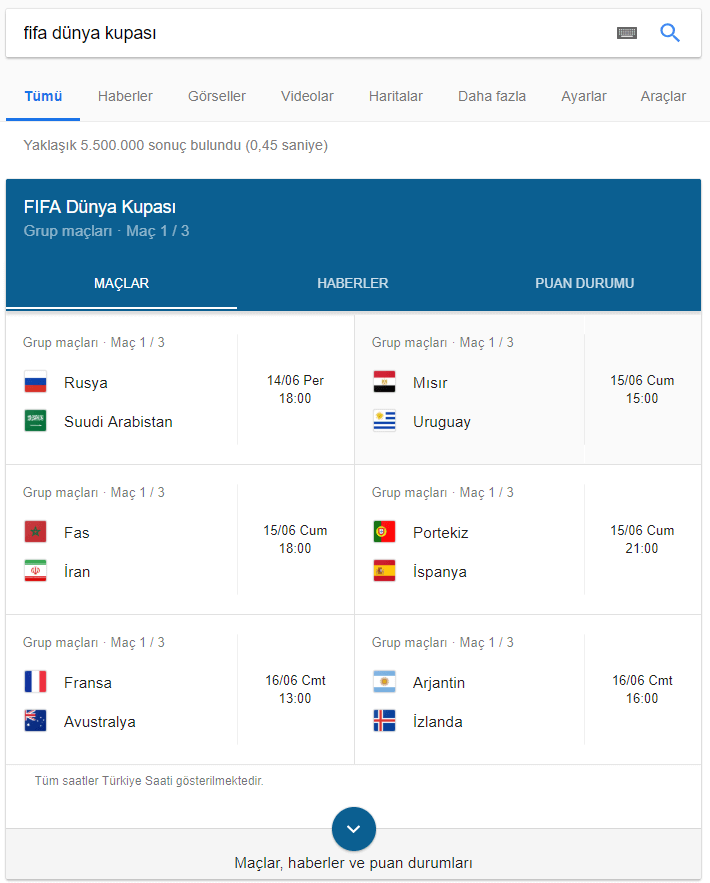 Google FIFA Dünya Kupası Arama Sonuçları