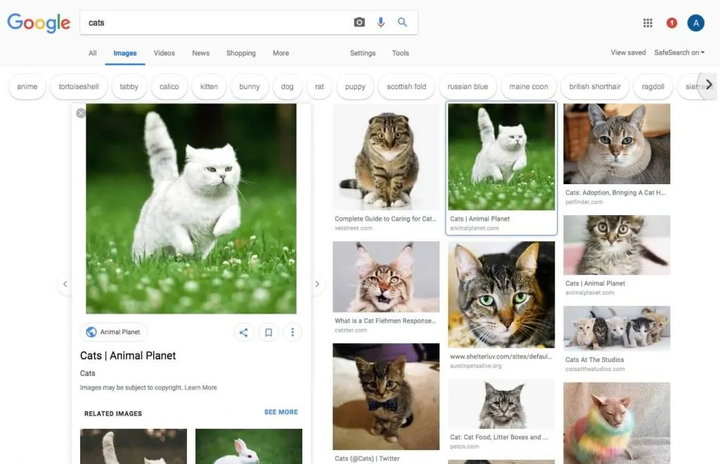 Google Yeni Görsel Arama Tasarımını Test Ediyor