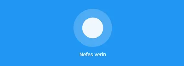 google-easter-egg-nefes-verin