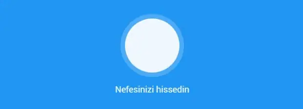 google-easter-egg-nefesinizi-hissedin