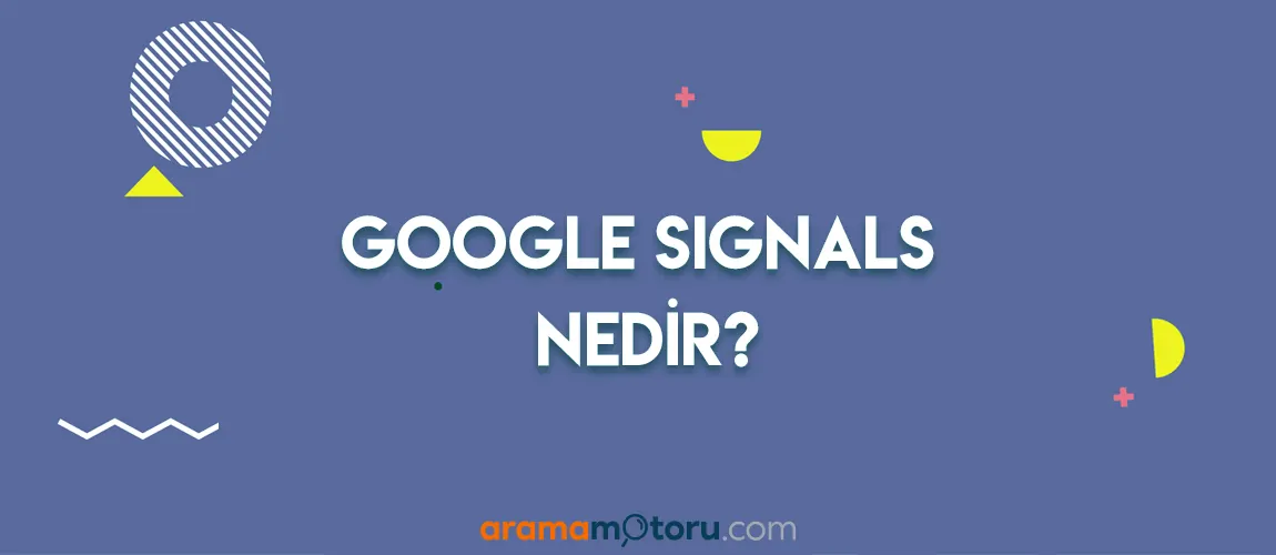 Google Signals Nedir