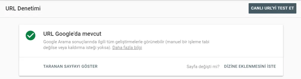 Google Search Console URL Denetleme Aracı 