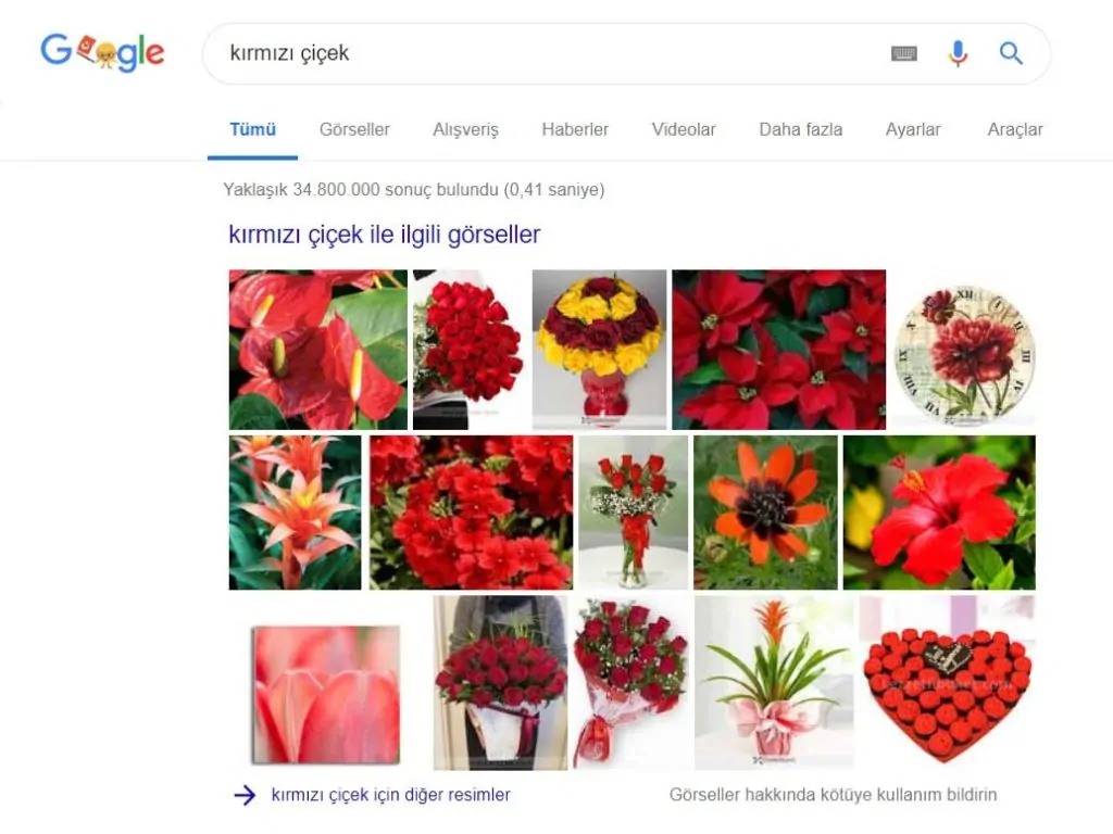 Google Kırmızı Çiçek Araması