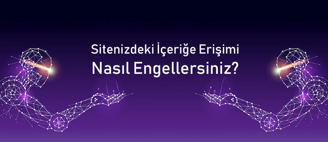 Sitenizdeki İçeriğe Erişimi Nasıl Engellersiniz?