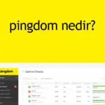 Pingdom Nedir? Pingdom tools nedir?