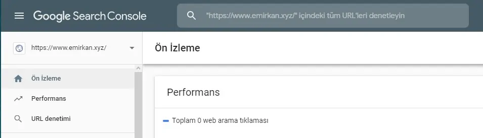 Google URL Denetleme Aracı