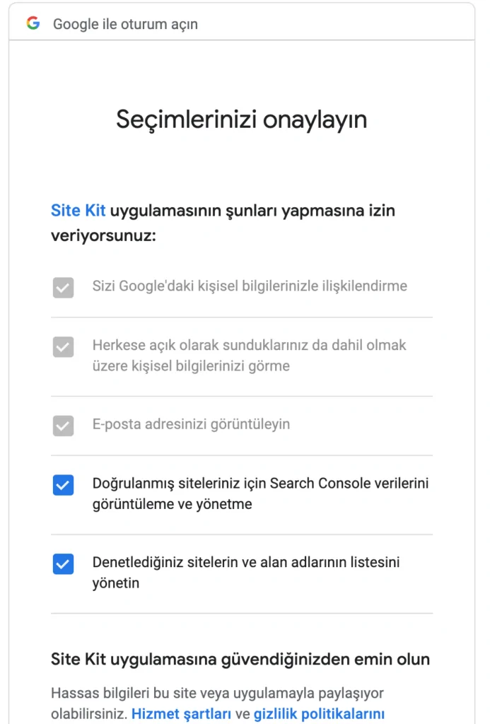 Google Site Kit WordPress kurulum adımları