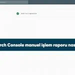 Google Search Console manuel işlem raporu nasıl kullanılır?