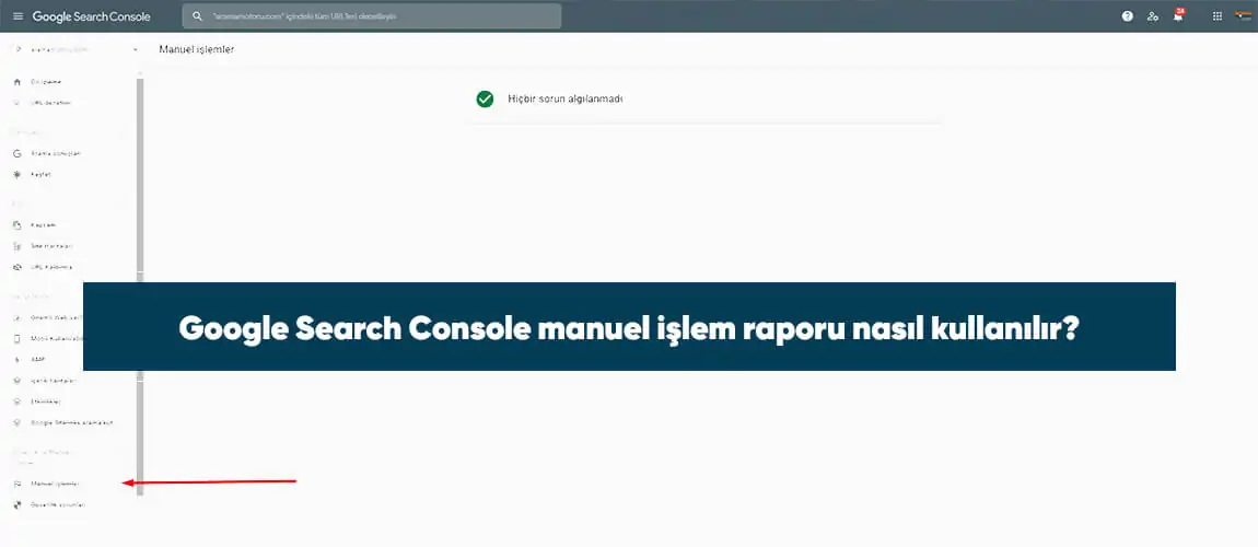 Google Search Console manuel işlem raporu nasıl kullanılır?