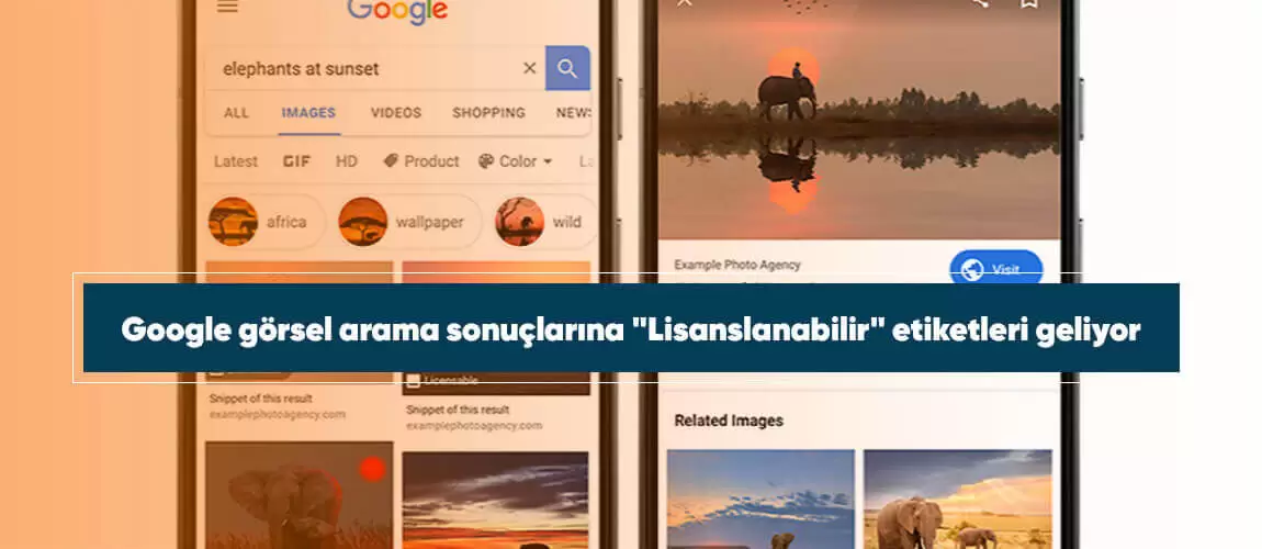 Google Fotoğraflar lisanslanabilir etiketi