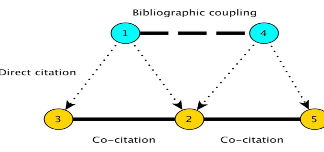 Ortak alıntı Co-Citation nedir?