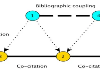 Ortak alıntı Co-Citation nedir?