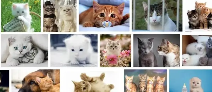 Görsellerde SEO uyumu yakalamanızı sağlayacak 10 ipucu