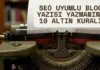 SEO Uyumlu Blog Yazısı