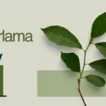 Yeşil Pazarlama (Green Marketing) Nedir?