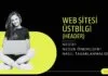 Web Sitesi Üstbilgi (Header): Nedir