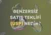 Benzersiz Satış Teklifi (USP) Nedir? - Arama Motoru