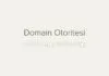 Domain Otoritesi - Arama Motoru