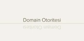 Domain Otoritesi - Arama Motoru