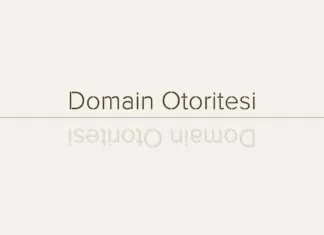 Domain Otoritesi - Arama Motoru