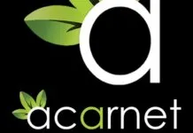 Web Tasarım web tasarımı
