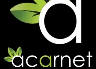 Web Tasarım web tasarımı