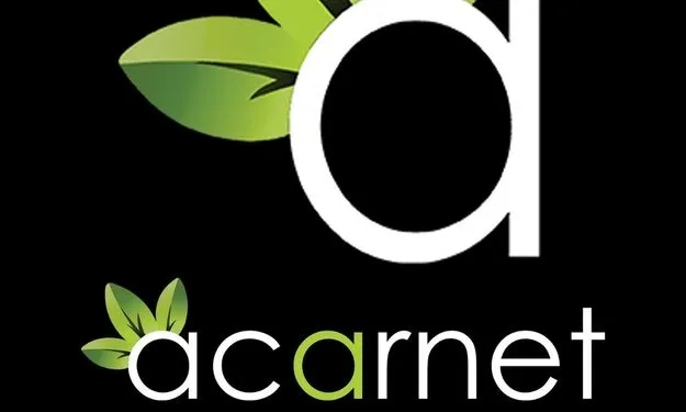 web tasarımı web tasarımı